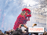 Défilé du Nouvel an Lunaire - Chinois 2025 Paris 13e - les photos