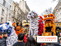 Défilé du Nouvel an Lunaire - Chinois 2025 Paris 13e - les photos -  A7C1606
