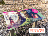 Balade sentier : Conte de Mélida, l'esprit de la forêt en forêt de Méridon (78)