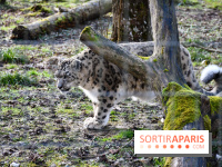 Lumigny Safari Reserve - nos photos