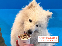 Je T'aime Comme Un Chien : food, mode, déco ... une expo qui a du chien au Bon Marché Rive Gauche