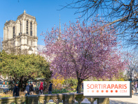 Le Square Viviani devant Notre-Dame de Paris