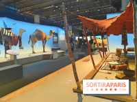 Déserts : l'exposition scientifique se dévoile au Muséum d'Histoire naturelle de Paris
