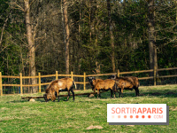 La Ferme de l’Abbaye des Vaux de Cernay : l'hôtel de charme en pleine nature dans les Yvelines - photos
