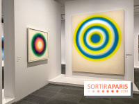 Dans le Flou, l'exposition dans le brouillard au Musée de l'Orangerie - IMG 5299