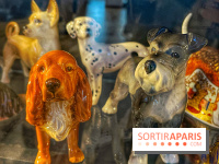 Collection dédié aux chiens
