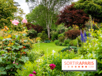 Le Jardin des Aubépines a Auffargis  - A7C01416