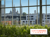 Rooftop Plantation Paris - IMG 7972 jpg