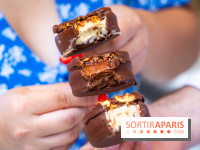 Les bouchées glacées de la Chocolaterie William Artigue, les esquimaux gourmands - A7C04189