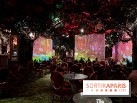 Wonderwoods - IMG 3818