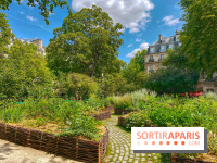 Jardin Médiéval du Musée de Cluny - IMG 3877