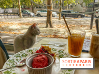 Chat-Rivari Café