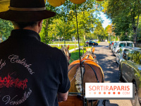 Tous en piste ! à Maisons-Laffitte (78): poneys, calèche et spectacles équestres gratuits au château