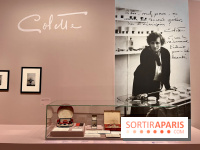 Les mondes de Colette