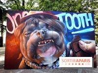 Festival de street art d'Antony 2025, nos photos