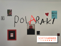 Polaraki, mille polaroids d'Araki Nobuyoshi : l'exposition du musée Guimet se dévoile - fotor 1759249478933