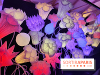 Jardiner : une exposition au cœur de la nature à vivre à la Cité des Sciences et de l'Industrie - fotor 1760436644750