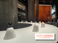 Exposition Générale : la Fondation Cartier raconte 40 ans d'expositions pour sa réouverture