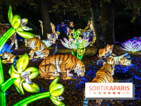 Thoiry Lumières Sauvages 2025 : le Bal des Esprits - A7C09485