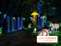 Thoiry Lumières Sauvages 2025 : le Bal des Esprits - A7C09500