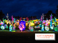 Thoiry Lumières Sauvages 2025 : le Bal des Esprits