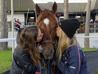 Les dimanches à l’Hippodrome Paris-Vincennes - 2