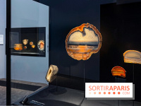 Rêveries de pierres : l'exposition rétrospective gratuite à l'Ecole des Arts Joailliers