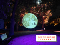 En voie d'illumination : Lumières de la nature : le festival nocturne hivernal du Jardin des Plantes