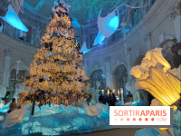Le Grand Noël 2025 du château de Vaux-le-Vicomte : des décorations magiques pour une balade hivernale mémorable
