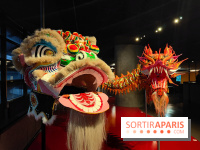 Dragons : l'exposition entre art et légendes se dévoile au musée du Quai Branly