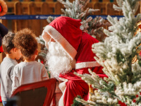 Noël s’invite à l’Hippodrome de Paris-Vincennes… et c’est féérique !