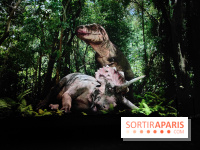 Dinosaures : l'expérience immersive qui nous fait remonter le temps à l'Atelier des Lumières, photos