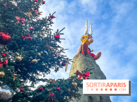 Noël au Parc Astérix 2025, patinoire et marché de Noël  - IMG 7537