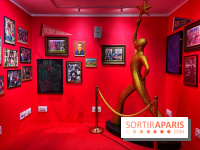 L'Appart de Noël Star Academy  - IMG 1953