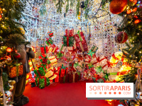 Ce passionné en Essonne transforme son jardin en Village de Noël à visiter gratuitement