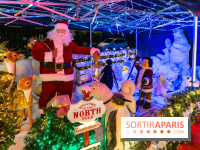 Ce passionné en Essonne transforme son jardin en Village de Noël à visiter gratuitement
