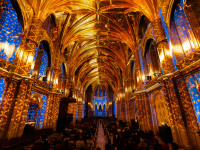 Luminiscence - L'Odyssée Céléste Bordeaux 5