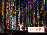 L'Odyssée Céleste à l'église Saint-Eustache à Paris, le nouveau spectacle Luminiscence 