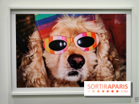 Global Warning : le photographe Martin Parr à l'honneur dans une exposition au Jeu de Paume - fotor 1769689947675