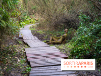 La source de l'Yvette : une statue mystérieuse dans les Yvelines - A7C05602