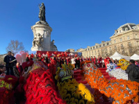 Défilés, dragons et saveurs asiatiques : la place de la République célèbre l’Année du Cheval - 7 2