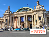 Insolite : assistez au montage en live d'une maquette LEGO du Grand Palais