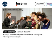 Ciné-science sur le film Les Rêves dansants : quand la danse rencontre les neurosciences