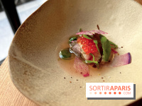 Masaikuta - Sardine sauvage, 