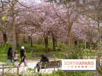 Les cerisiers du parc Martin Luther King - Clichy - Batignoles