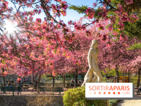 Les pommiers et cerisiers en fleurs du Jardin de Reuilly, Parc de Reuilly à Paris 12e - photos  - visuel
