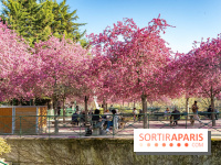 Les pommiers et cerisiers en fleurs du Jardin de Reuilly, Parc de Reuilly à Paris 12e - photos  - table pique nique 