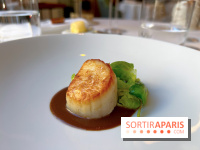 Alliance - Noix de Saint-Jacques à l'unilatéral, chou de Bruxelles, sauce réduite au vin rouge et barbes