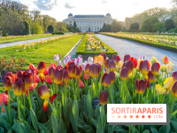Les floraisons exceptionnelles du Jardin des Plantes 2026 : tulipes, coquelicots et cerisiers - photos