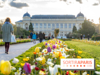 Les floraisons exceptionnelles du Jardin des Plantes 2026 : tulipes, coquelicots et cerisiers - photos - A7C00630